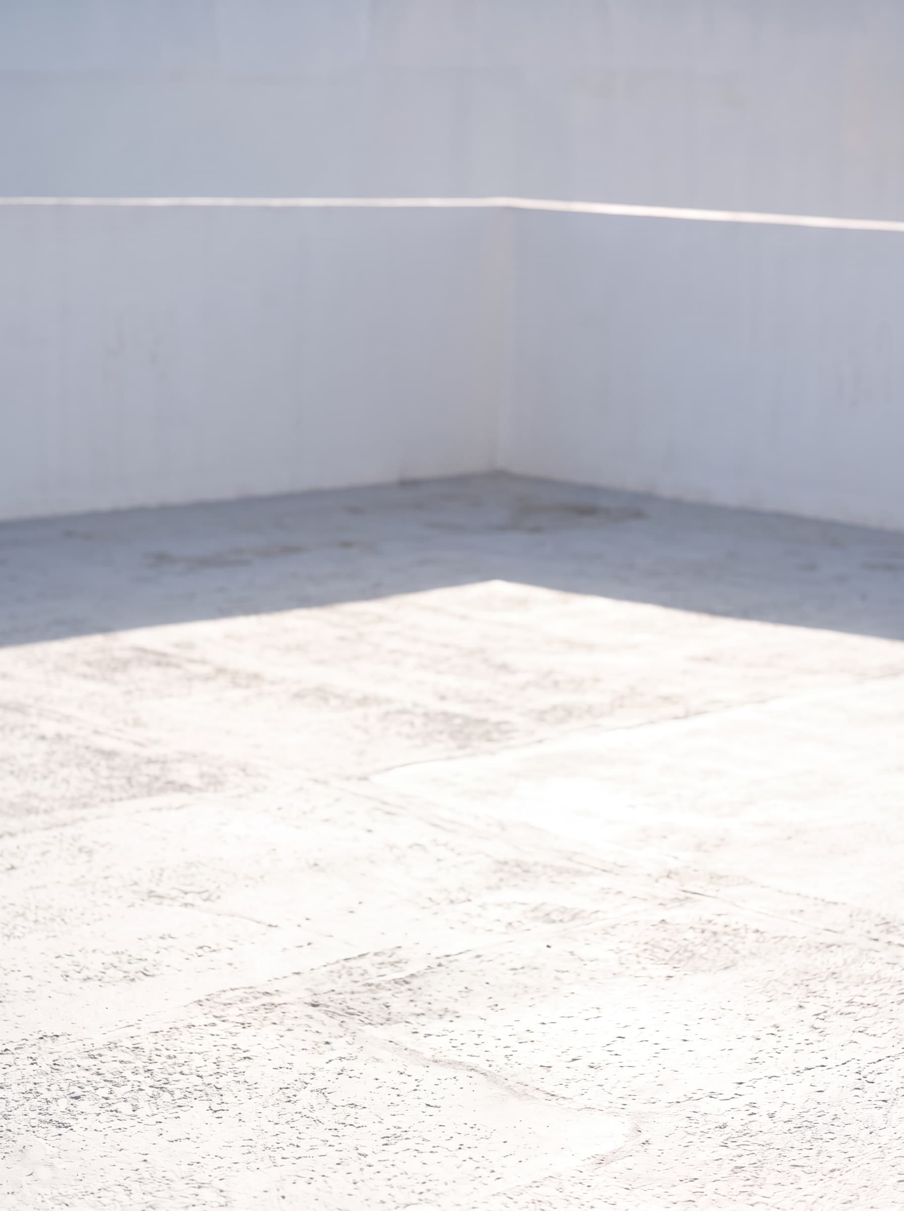 Chosen backdrop: sunlit white concrete terrace